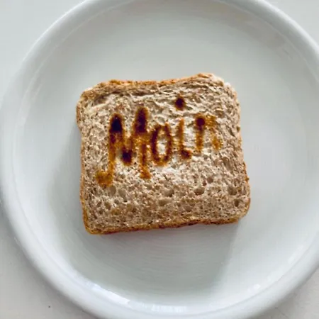 Haus Vogelsand Whg 307 Appartamento