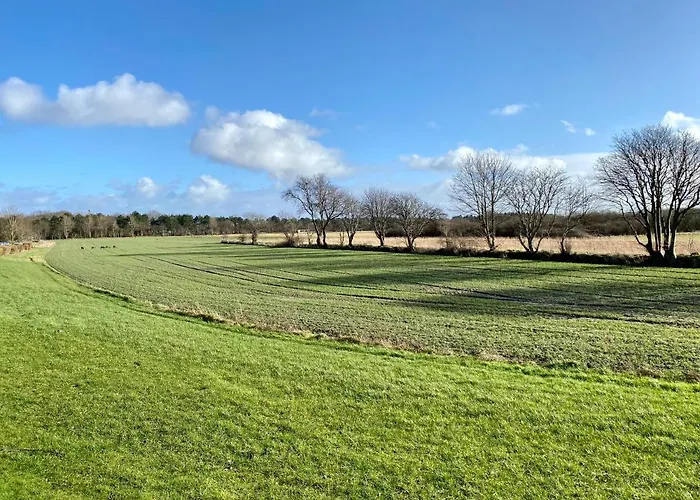 Apartman Haus Vogelsand Whg 307