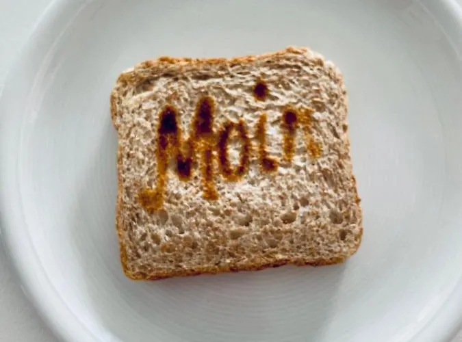 Haus Vogelsand Whg 307 Apartman